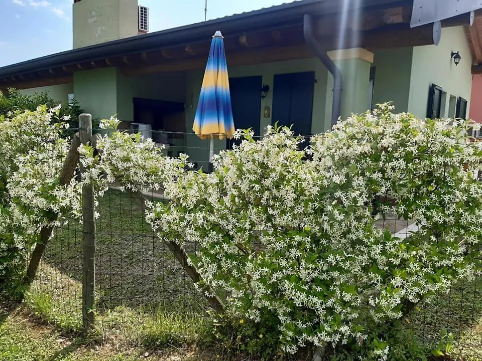 Alojamento de Turismo Rural Agriturismo Lizzarola Peschiera del Garda