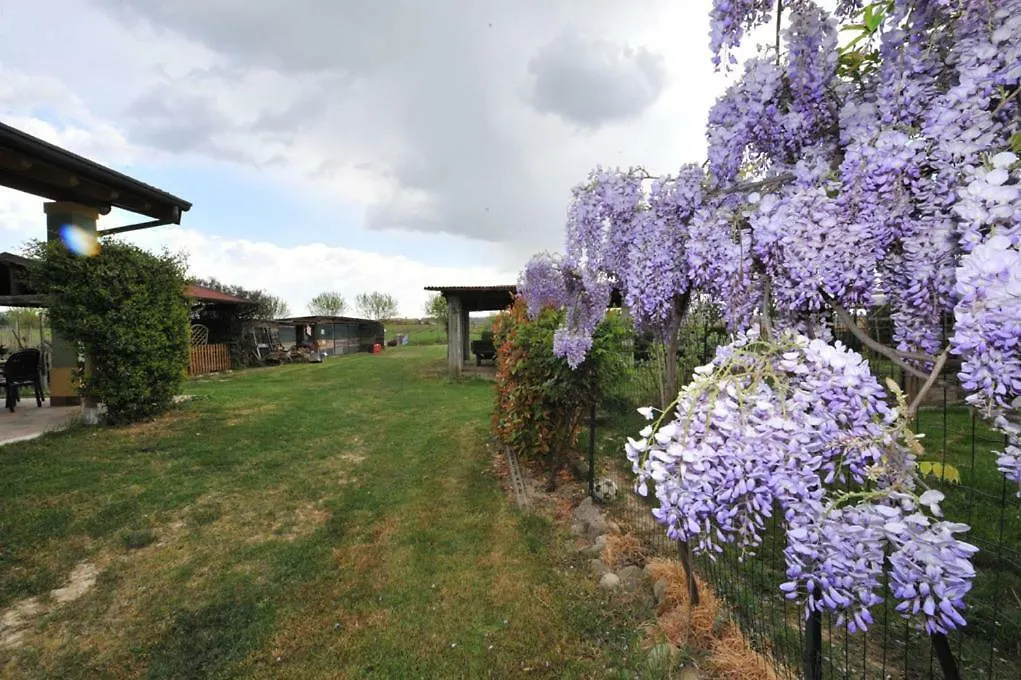 Agriturismo Lizzarola Peschiera del Garda Alojamento de Turismo Rural